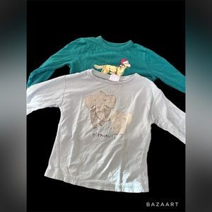 Bundle of 2 long sleeves tees